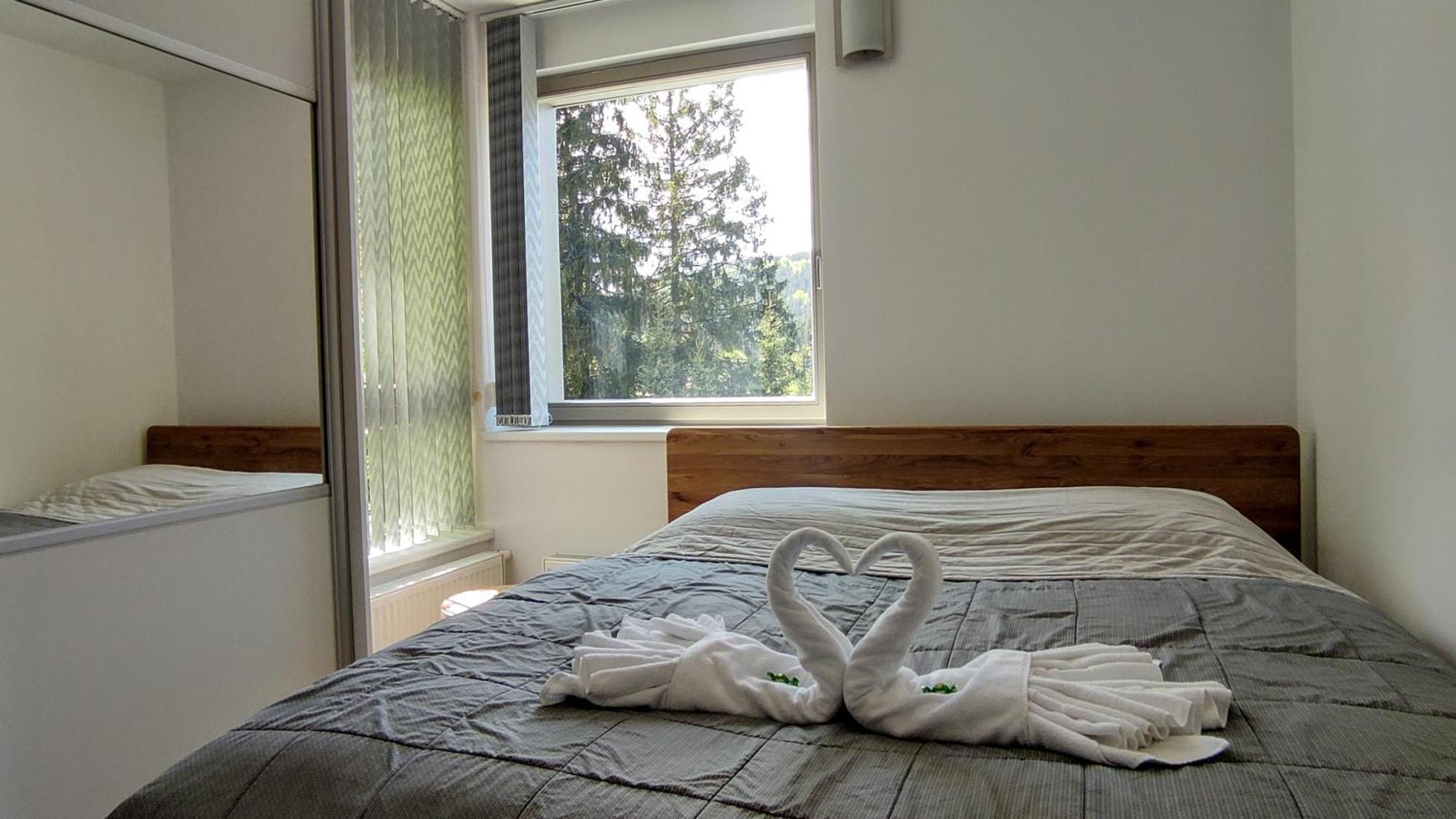 WELLNESS APARTMÁN RESIDENT HARRACHOV C308 Horský apartmán 2KK s velkou terasou a vlastním parkováním v garáži Esterno foto