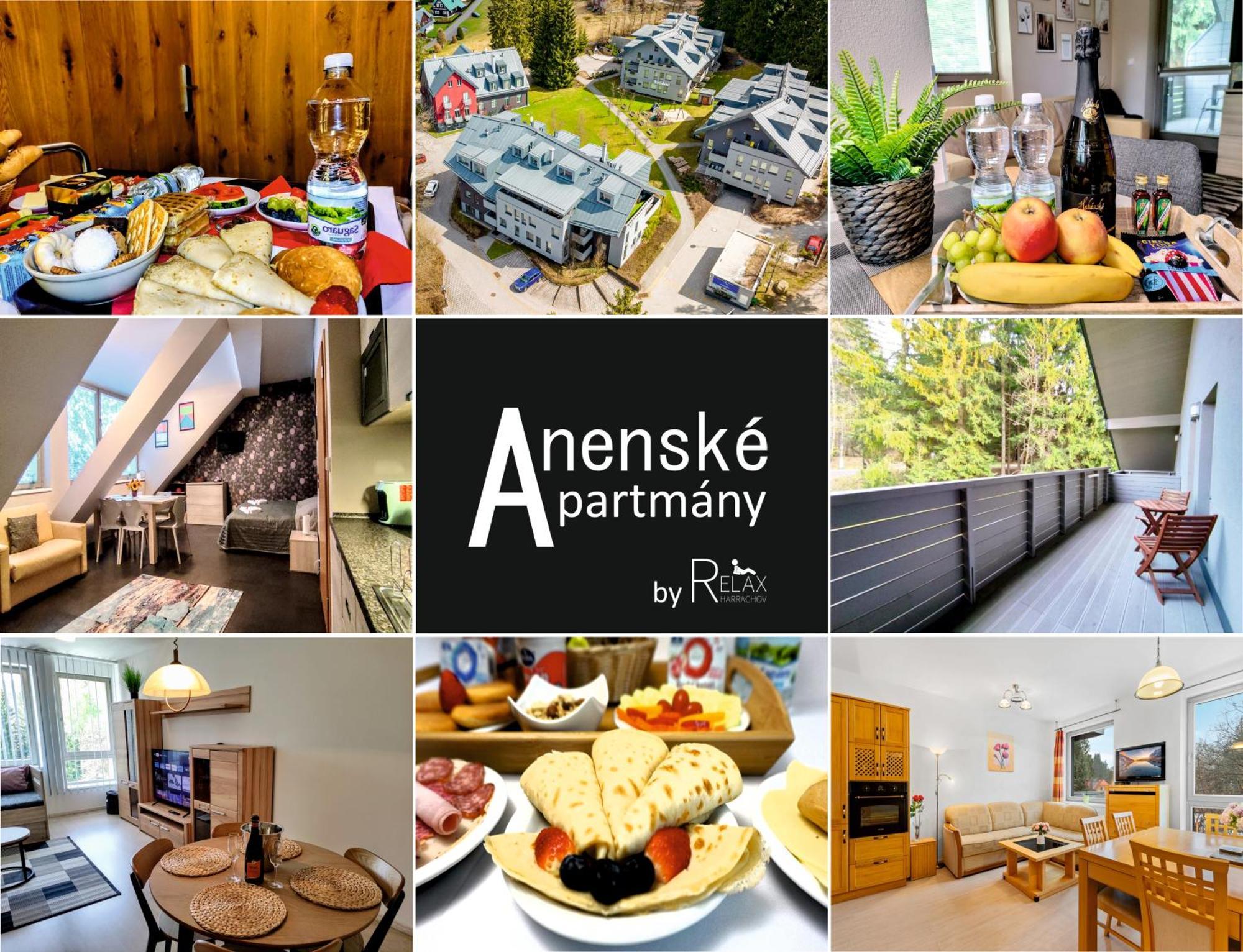 WELLNESS APARTMÁN RESIDENT HARRACHOV C308 Horský apartmán 2KK s velkou terasou a vlastním parkováním v garáži Esterno foto